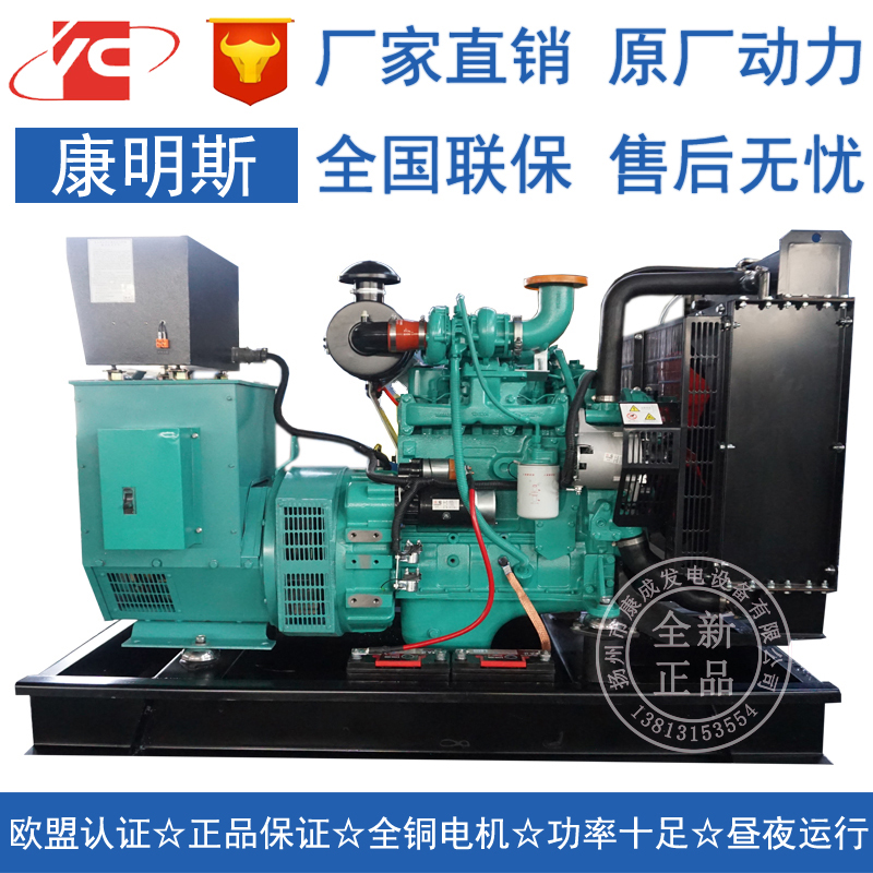 40KW康明斯4BTA3.9-G2柴油發(fā)電機(jī)組