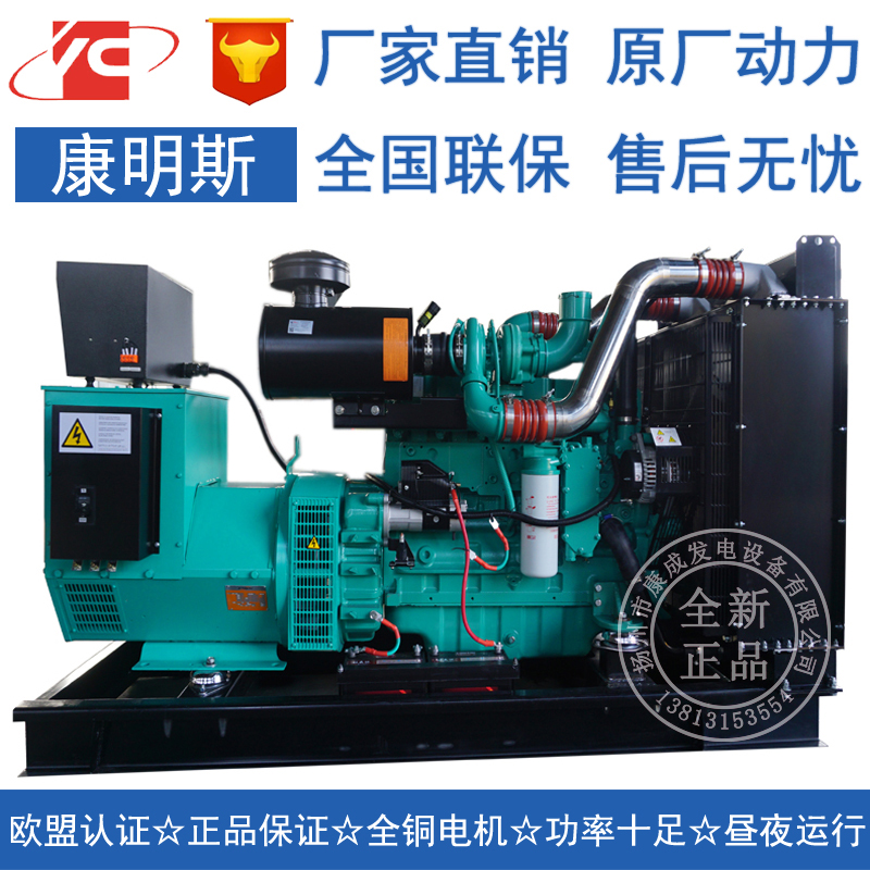 160KW康明斯6CTAA8.3-G2柴油發電機組